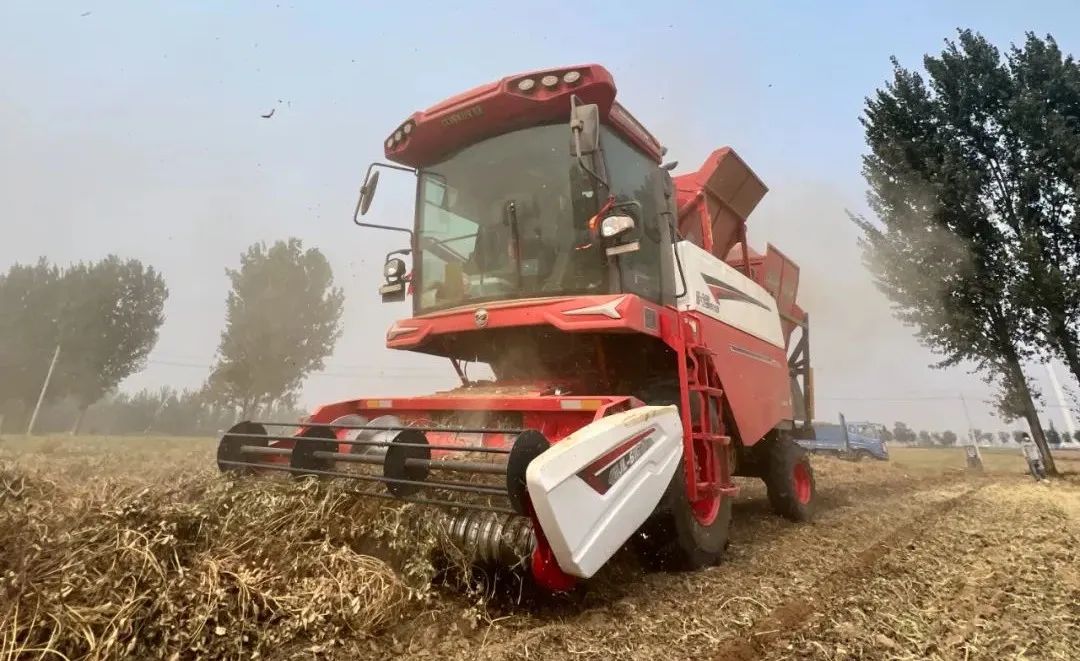 遼寧阜新薛師傅:品質好,服務優,中聯收獲性價比就是高 1751540713688734.jpg